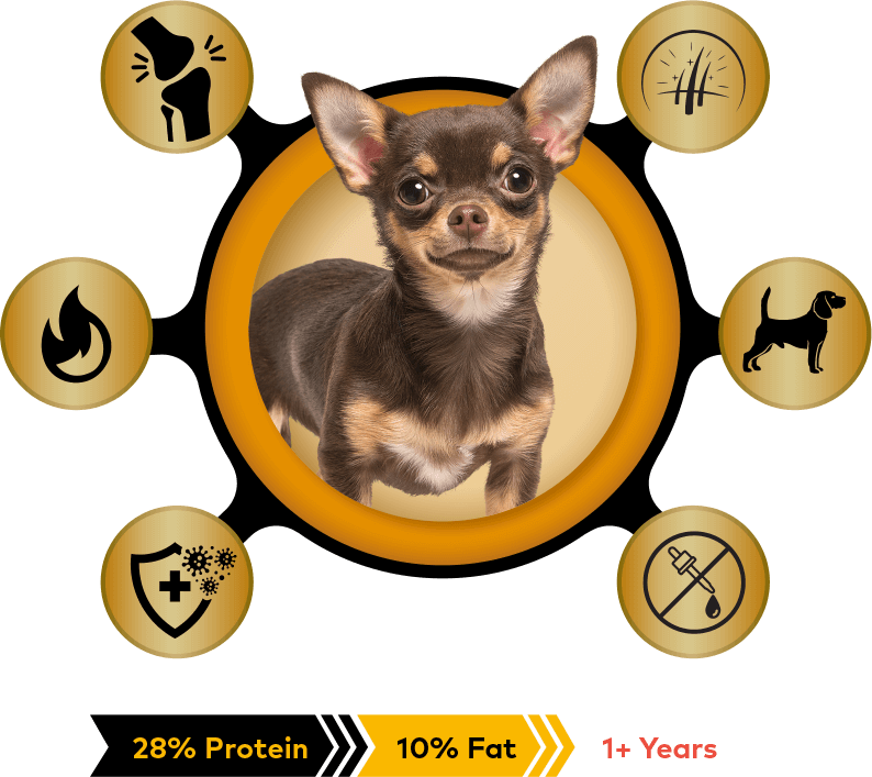 small breed keep up with your