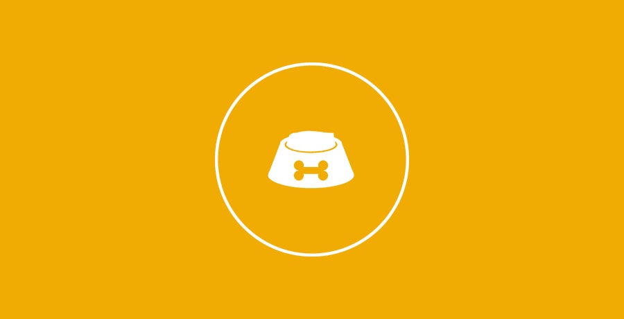 Pedigree What Should I Feed My Dog?