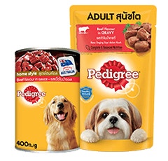 What should I feed my dog