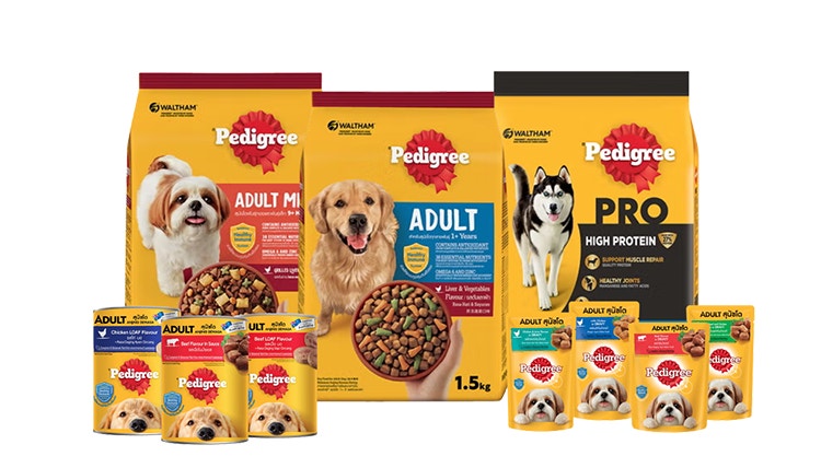 สุนัขโต