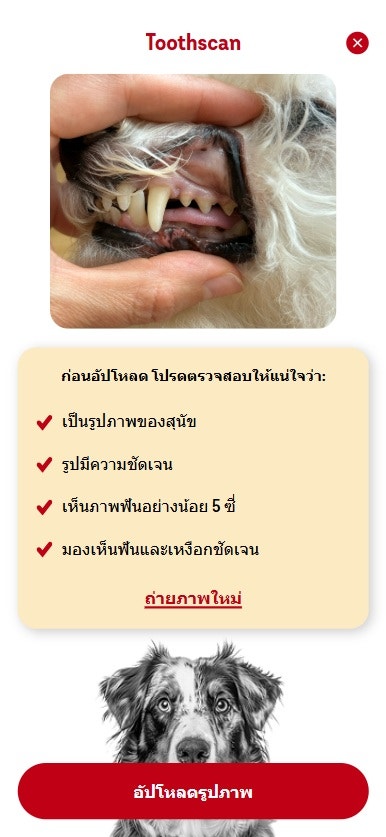 Pedigree ถ่ายรูปฟันสุนัข