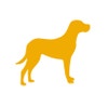 Giant Icon Hover