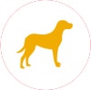Large Icon Hover