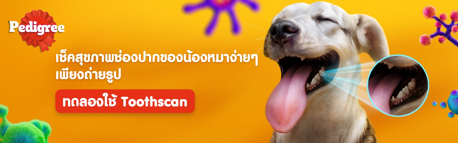 Toothscanner